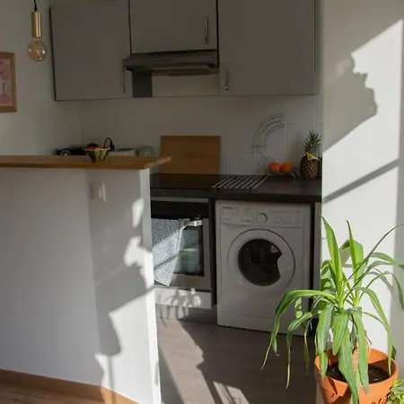 Charming In The Vieux *